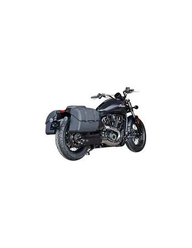 Comprar Silenciadores Slip-On Grand National para Indian Scout