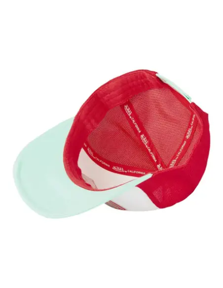 Gorra Semi Curva Von Dutch 29 | Iguana Custom