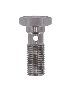 Acquista Bullone Banjo Lungo Goodridge 3/8-24 SS