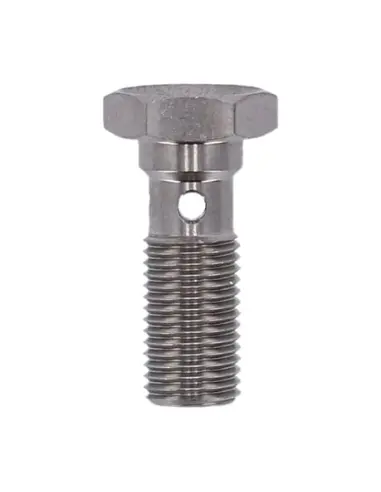 Buy Long Banjo Bolt Goodridge 3/8-24 SS