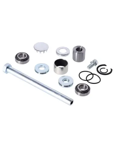 Acquista Kit di Riparazione Albero Oscillante Harley-Davidson