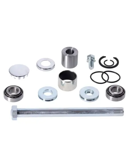 Acquista Kit di Riparazione Albero Oscillante Harley-Davidson