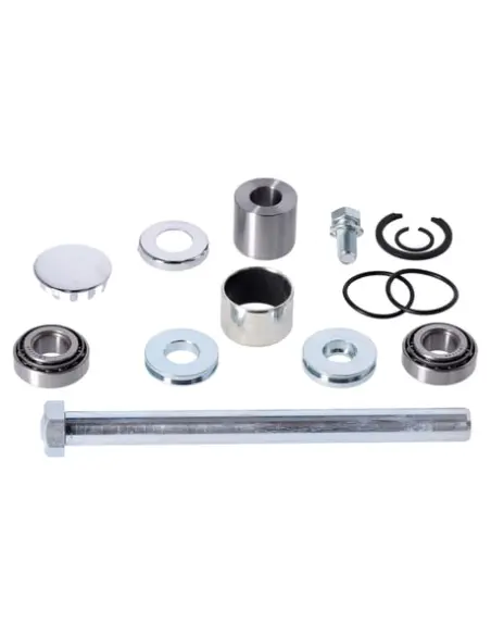 Acquista Kit di Riparazione Albero Oscillante Harley-Davidson