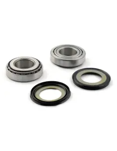 Kit cuscinetti sterzo All Balls 1" Harley