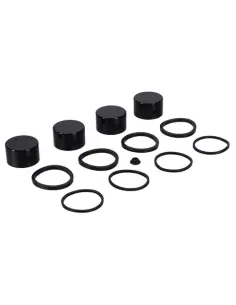 Acquista Kit pistone pinza Harley FLT 2008-2025 | Iguana Custom