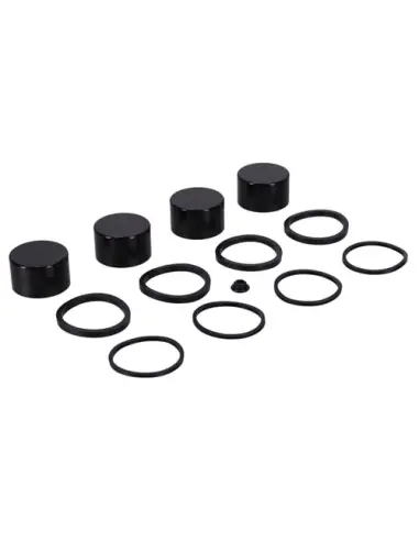 Comprar Kit pistão pinça Harley FLT 2008-2025 | Iguana Custom