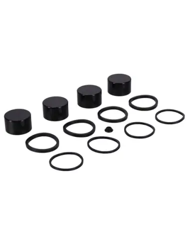 Acquista Kit pistone pinza Harley FLT 2008-2025 | Iguana Custom