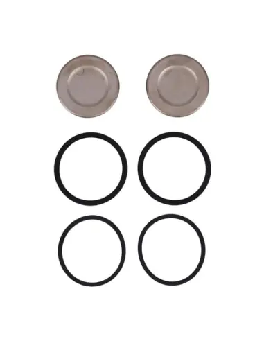 Comprar Kit de pistões pinça dianteira Sportster 14-22 | Iguana Custom