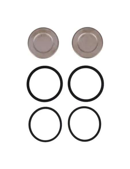 Comprar Kit pistones pinza delantera Sportster 14-22 | Iguana Custom
