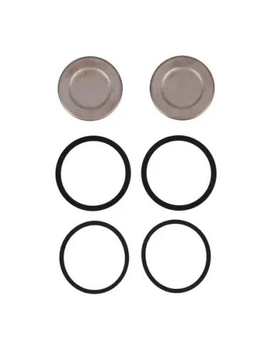 Acquista Kit pistoni pinza anteriore Sportster 14-22 | Iguana Custom