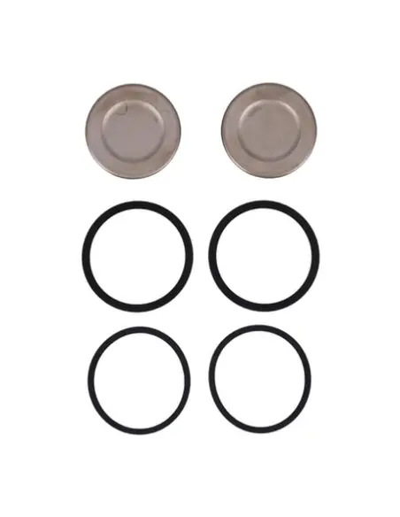 Comprar Kit de pistões pinça dianteira Sportster 14-22 | Iguana Custom