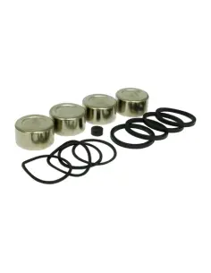 Acquista Kit pistoni pinza anteriore Softail e Dyna | Iguana Custom 2