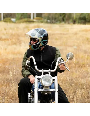 Biltwell Gringo S Helmet Born Free Limited Edition | Iguana Custom