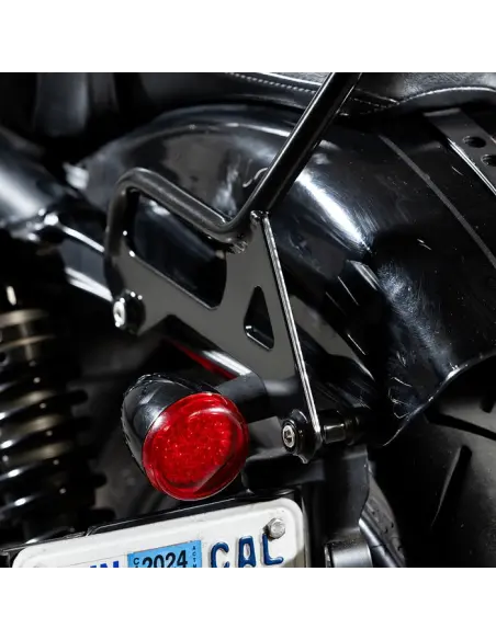 Sissy Bar Biltwell EXFIL nero Sportster | Iguana Custom