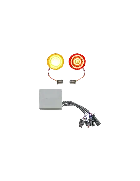 Badlands Brake Light Eliminator Softail 18-24 | Iguana Custom