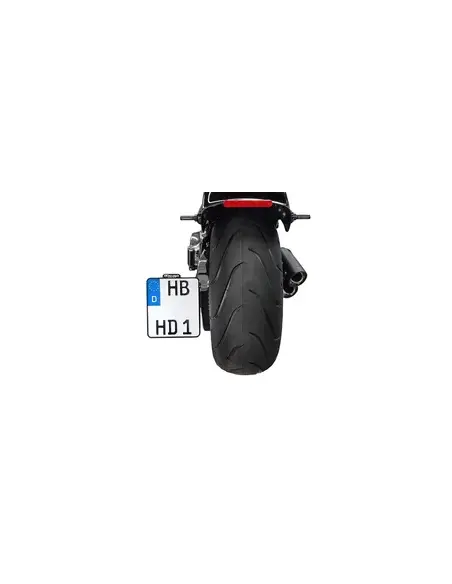 Badlands Brake Light Eliminator Softail 18-24 | Iguana Custom