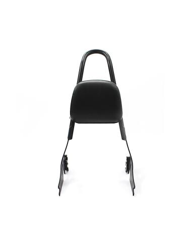 Respaldo Desmontable Negro Tappered Para Sportster Xl 04-Up