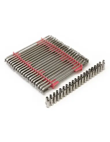 Raios inoxidáveis polidos 170 mm para aro 16