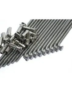 Raggi inox lucidati 170 mm per cerchio da 16 pollici 2