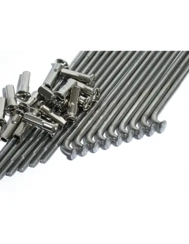 Rayons inox polis 170 mm pour jante 16 pouces