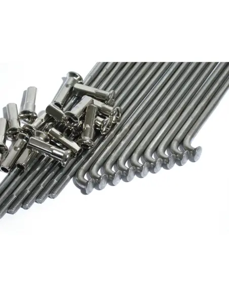 Raggi inox lucidati 170 mm per cerchio da 16 pollici