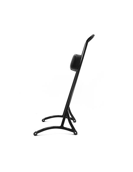 Sissy Bar Alto Negro Para Sportster 2004 En Adelante