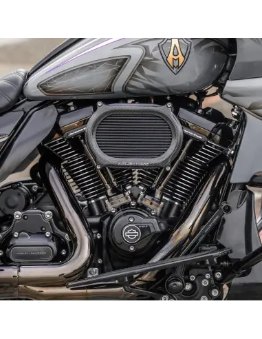 Filtro Aria Arlen Ness Stage 2 Oval Carbon