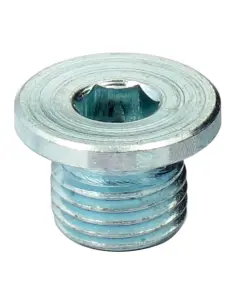 Tapones Sonda O2 12 mm Harley-Davidson 2009-2026