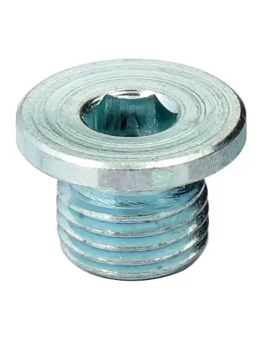 Tapones Sonda O2 12 mm Harley-Davidson 2009-2026
