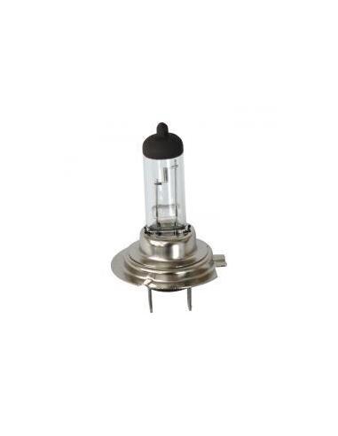 Comprar Lampara H7 12V 55W Blanca a precio de oferta