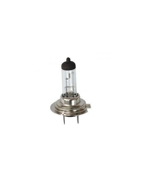 Lâmpada H7 12V 55W Branco | Preço Promocional