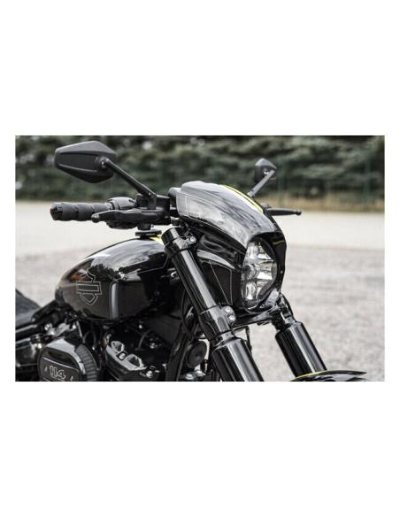 AGGRESSION SOFTAIL STREET BOB MASQUE 2018-AUTRE