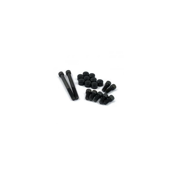 KIT PLUGS AND PRIMARY SCREWS, DERBY AND INSP. BLACK SOFTAIL/DY