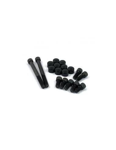 Comprar Kit Tapones Y Tornillos Primaria, Derby E Insp. Negro Softail/Dy a precio de oferta