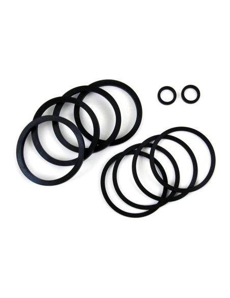 Acquista Kit Guarnizioni Pistoni Pinza Freno Harley (Vari Modelli) a prezzo scontato