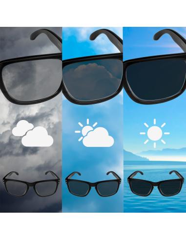 Comprar Gafas Icc Daytona Polarizada Photocromatica Ahumada - Sol a precio de oferta