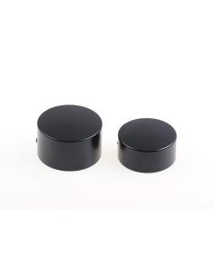 PLUGUES DO EIXO TRASEIRO HD SPORTSTER S RH1250S