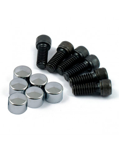 KIT SCREWS AND PLUGS DERBY CHROME COVER XL 04-19
