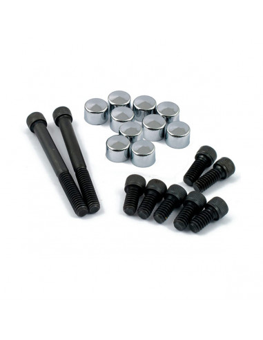 KIT PLUGS AND PRIMARY SCREWS, DERBY AND INSP. CHROME SOFTAIL/DY