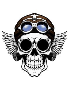 Acquista Calca Uv 16X15 Aviator Skull a prezzo promozionale