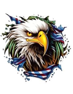 DECALQUE UV 16X15 AMERICAN EAGLE HEAD