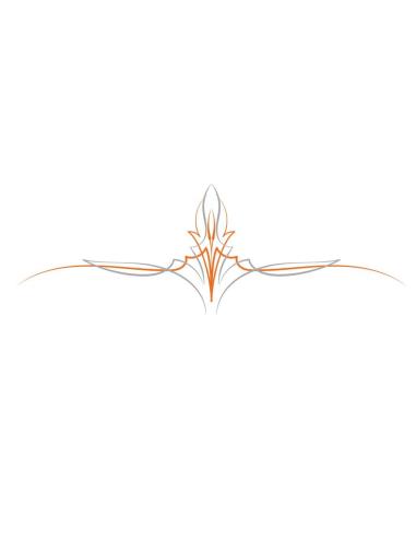 DECALQUE UV 18X6 CM PINSTRIPE HORIZONTAL ORANGE AND GREY