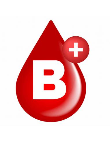 UV DECAL BLOOD GROUP B POSITIVE 2X3 CM