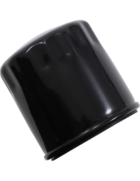 Acheter Filtre à Huile Noir OEM Harley RH1250S et Pan America 21-22