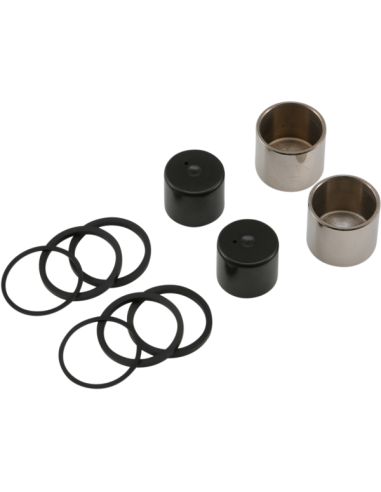 Acquista Kit Riparazione Pinza Freno Posteriore Harley (Vari Modelli) a prezzo scontato