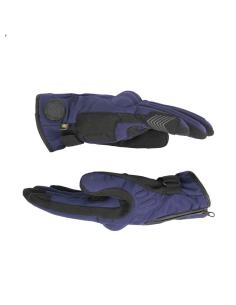 Comprare Guanti Iceland Man Blu Per Motociclista: Protezione E Comfort Invernali a prezzo scontato 2