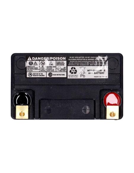 BATTERIE AGM MCS SERIE STANDARD YTX14L