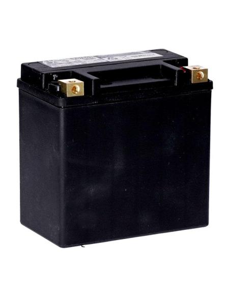 BATTERIE AGM MCS SERIE STANDARD YTX14L