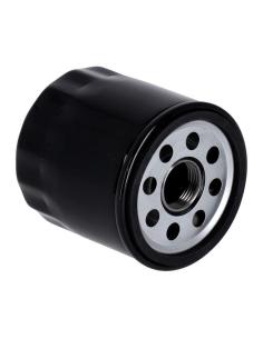 Acquista Filtro Olio Nero Hd Motore Revolution Max a prezzo scontato
