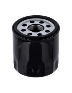 Acquista Filtro Olio Nero Hd Motore Revolution Max a prezzo scontato 2